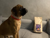 Karma Look4dog CARE kaczka i pomarańcza 2 kg 