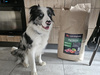 Zestaw: Karma sucha Look4dog CARE Jagnięcina 12kg + 3x400g KEBZOO