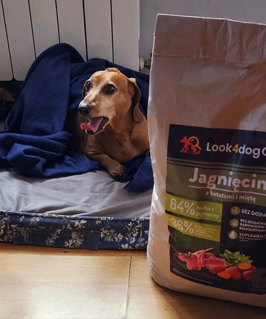 Karma Look4dog CARE małe rasy jagnięcina 6 kg