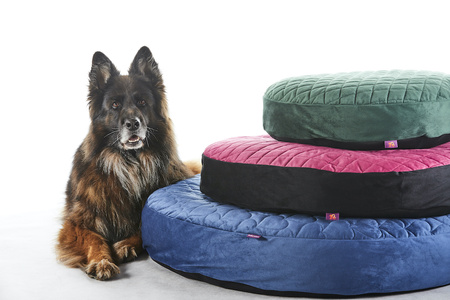 Legowisko Look4dog ME poducha Classic 100 cm, niebieskie
