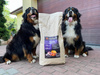 Karma Look4dog CARE kaczka i pomarańcza 2 kg 