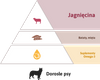 Zestaw: Look4dog CARE Jagnięcina 12kg +| KEBZOO Jagnięcina 3x400g