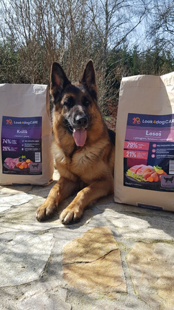Sucha karma Look4dog CARE Łosoś i pstrąg 6 kg