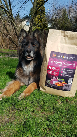 Karma Look4dog CARE Jeleń + KEBZOO jagnięcina 3x400g